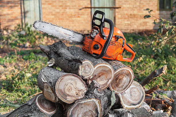 Best Emergency Tree Service  in Fuquay Varina, NC